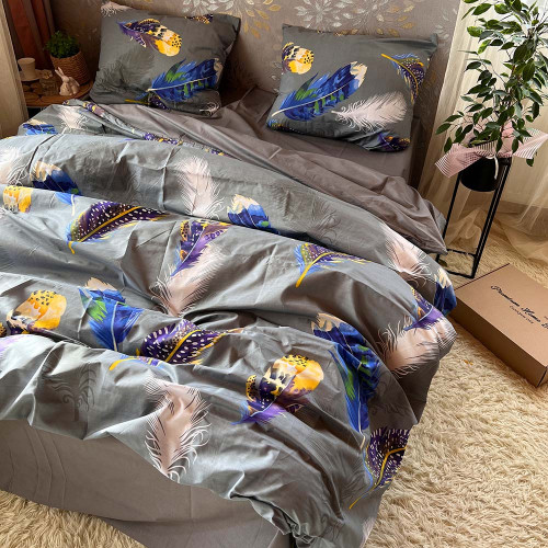 Комплект Бязь Gold Lux – Кольорове пір'я