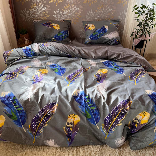 Комплект Бязь Gold Lux – Кольорове пір'я